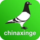 中国信鸽信息网安卓版