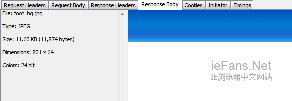 Response Body