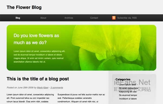 HTML 5 和CSS 3: 未来网页设计必用之技术
